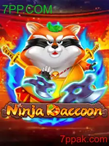 NinjaRaccoon